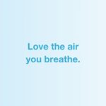 Air Oasis — LOVE The Air You Breathe!