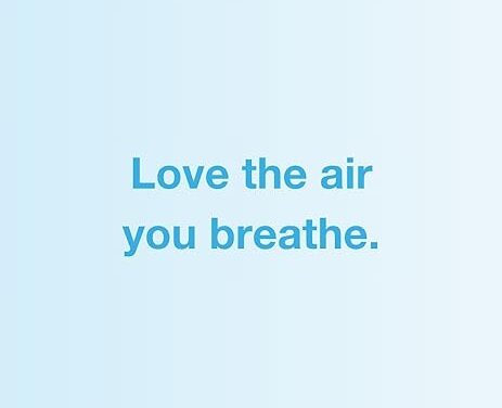 Air Oasis — LOVE The Air You Breathe!