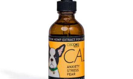 CBD For Dog Health.