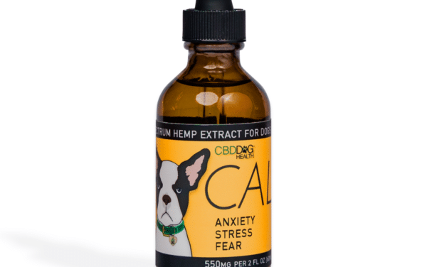 CBD For Dog Health.