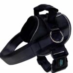 Joyride Harness.