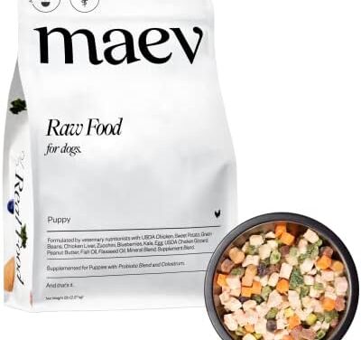 Maev, Fresh Dog Food, Right Here!