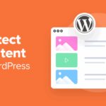 Ways to Protect Content in WordPress