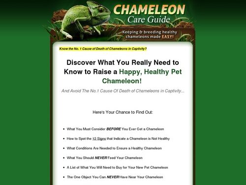 Chameleon Care Guide – Keeping and Breeding Healthy Chameleons Made Easy!