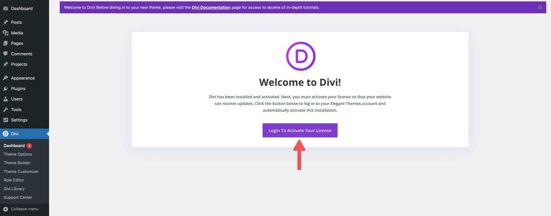 activate Divi theme