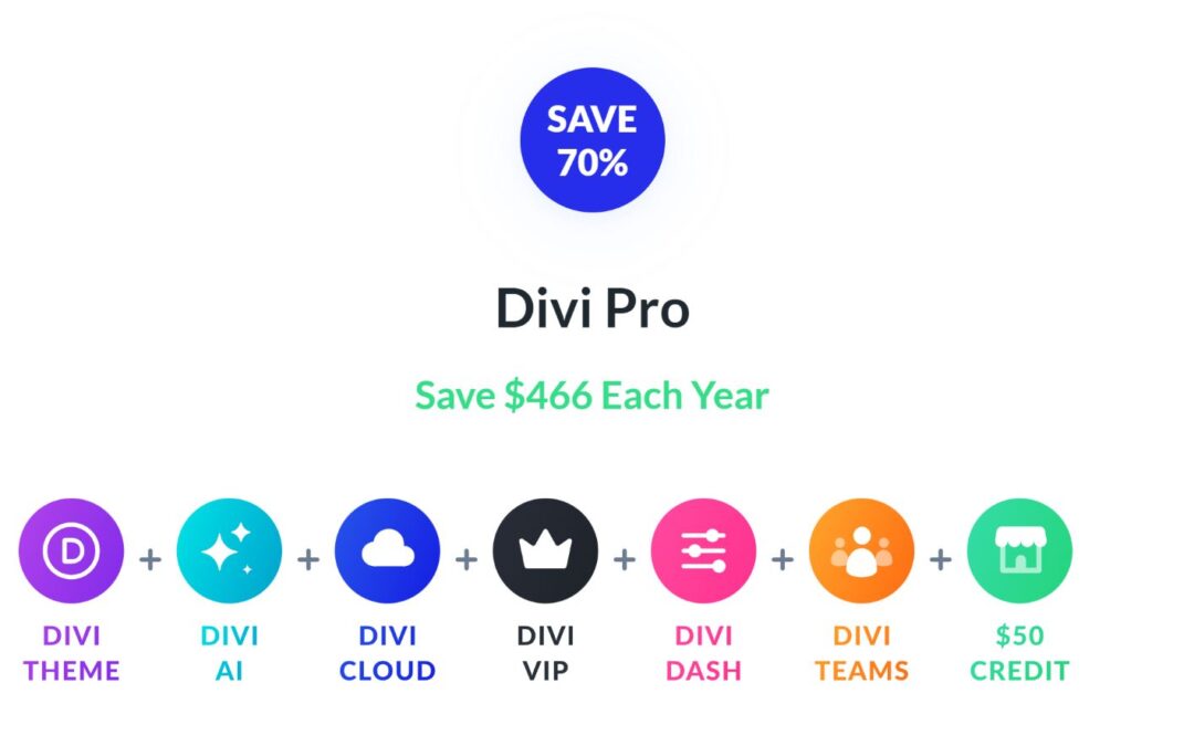 9 Causes To Make investments In Divi Professional All through The Summer time Sale (70% Off)