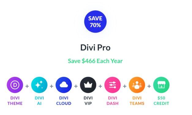 9 Causes To Make investments In Divi Professional All through The Summer time Sale (70% Off)