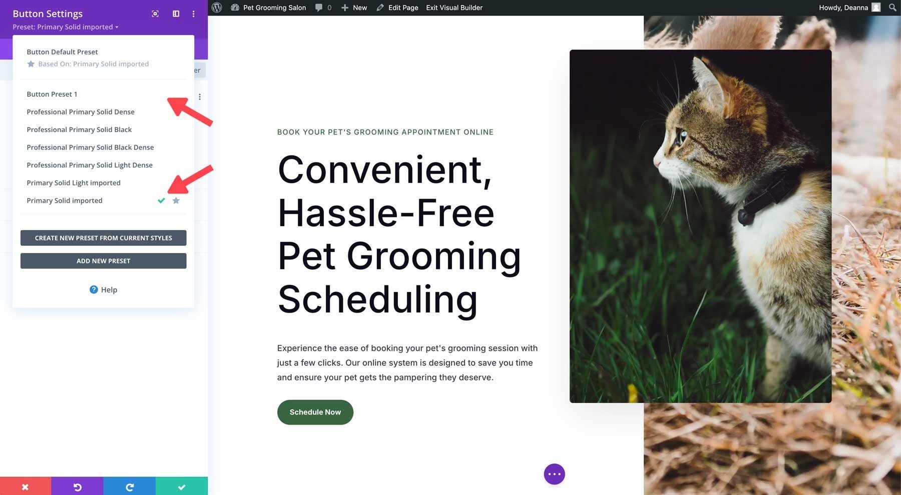 Divi Module presets