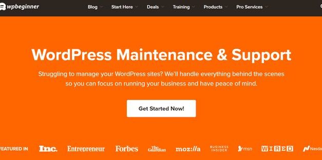 WordPress Repairs vs. Controlled Internet Hosting: Which is the Best Choice?