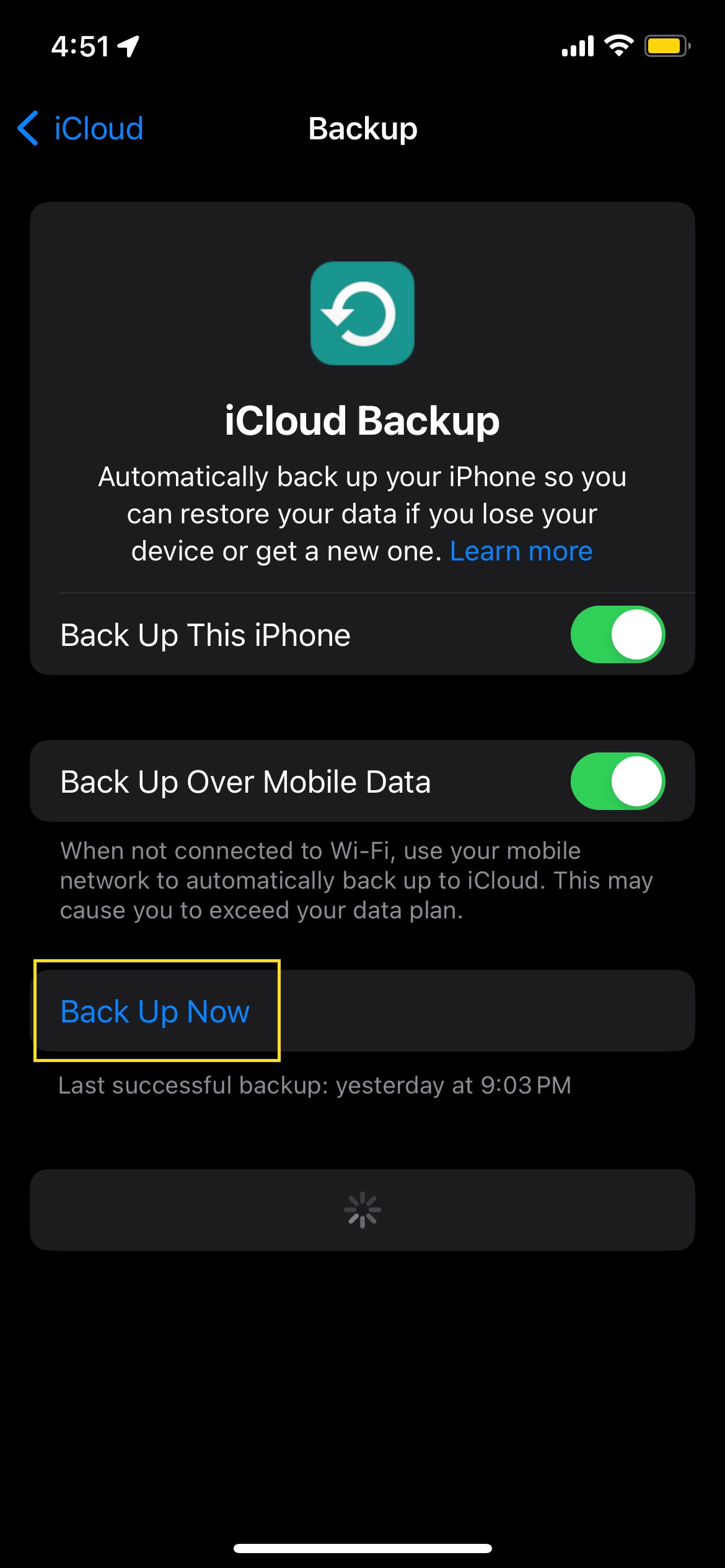 Run Backup Now option