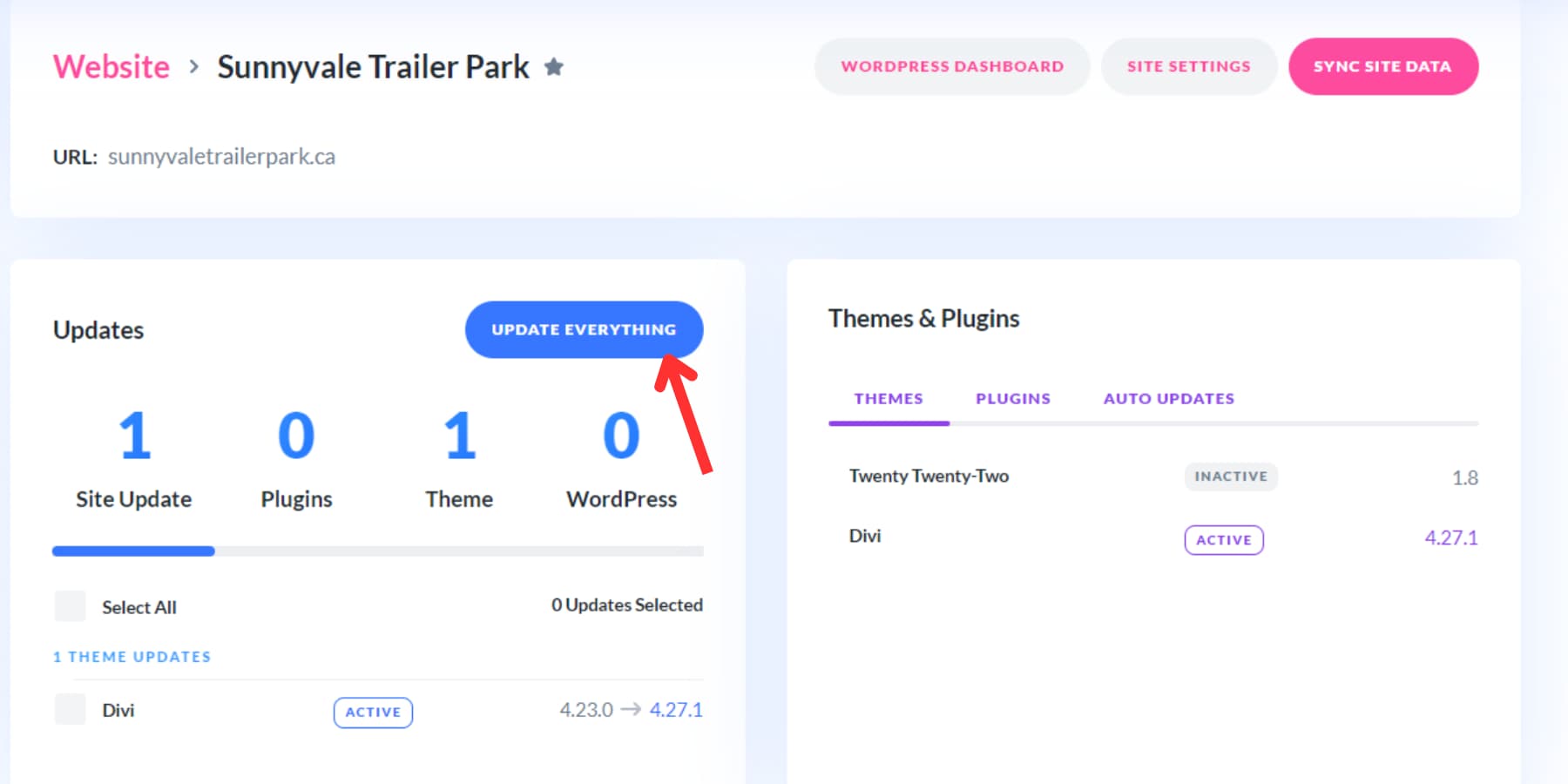 A screenshot of the Update All button in Divi Dash