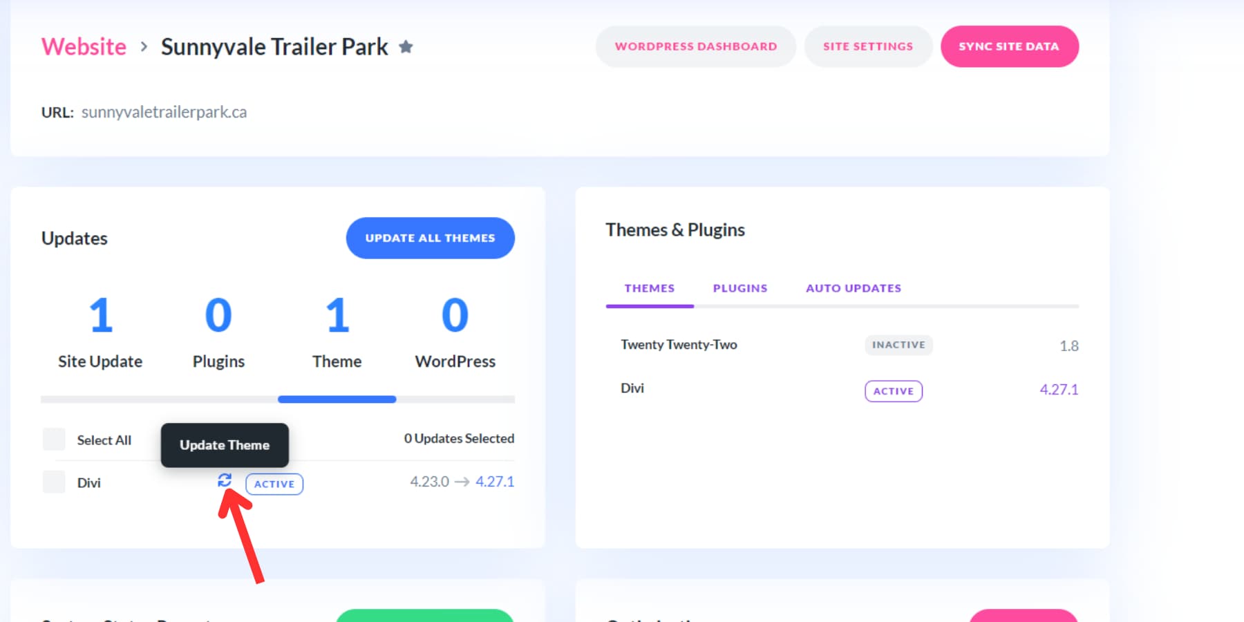 A screenshot of the theme update button on Divi Dash