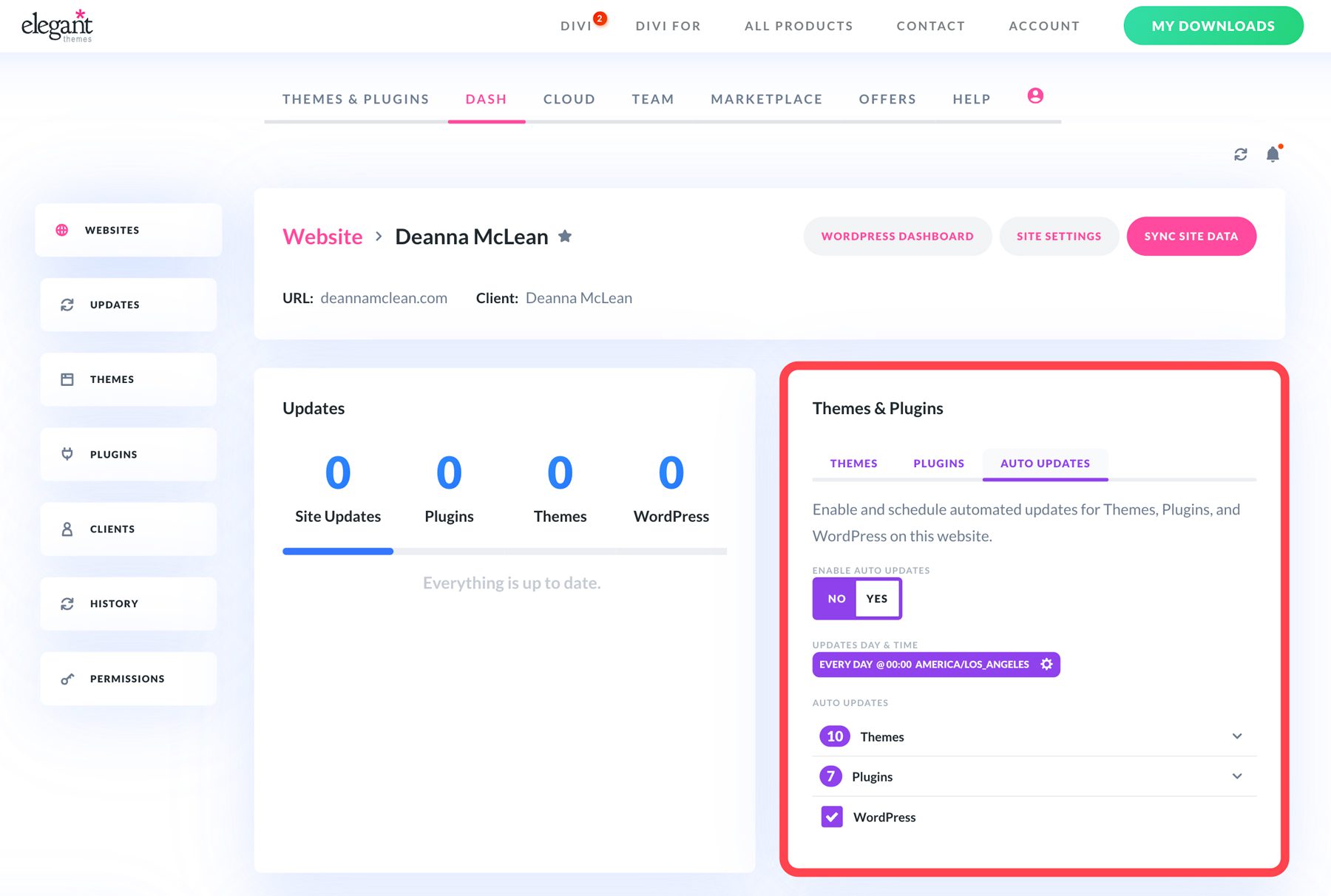 Divi Dash Automatic Updates