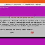 dpkg prompt to disable Unattended Upgrades in Ubuntu