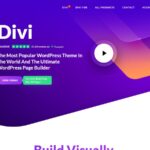 A screenshot of Divi