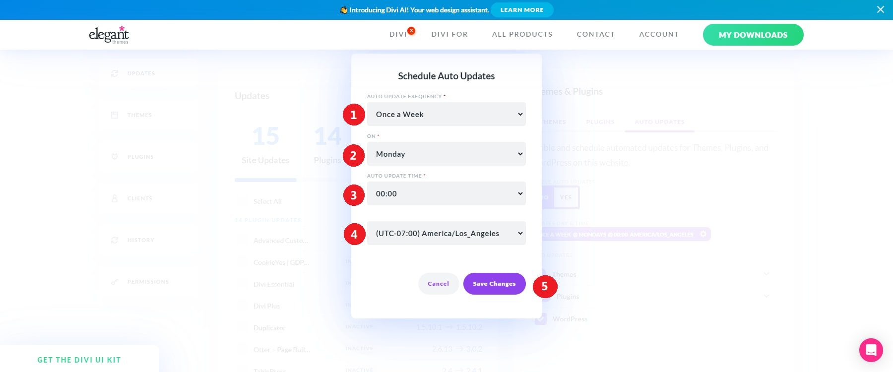 divi dash schedule auto updates