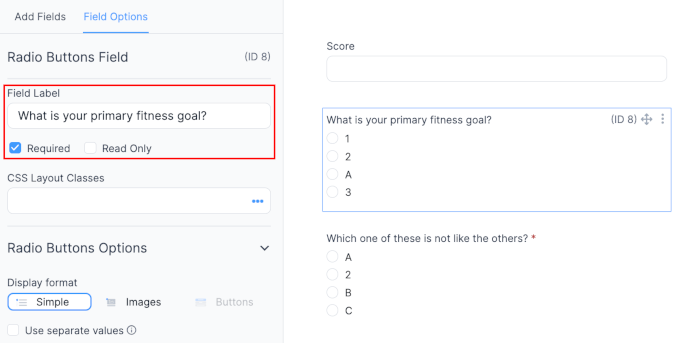 Formidable Form field label edited and required checkbox ticked