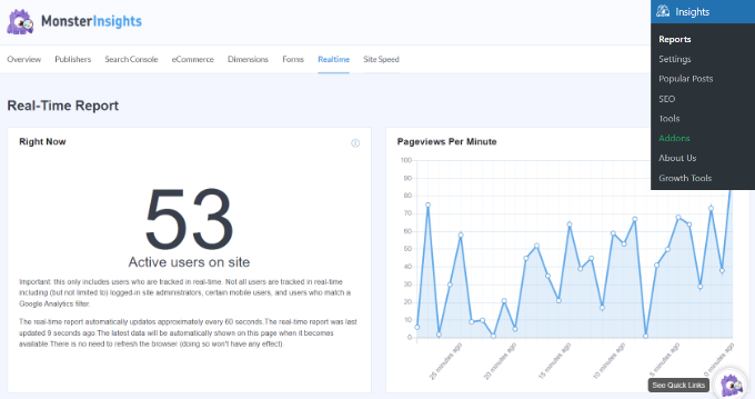 Viewing real-time stats in MonsterInsights