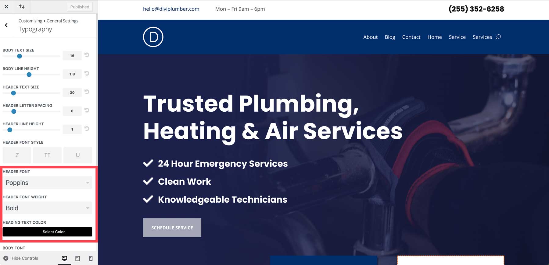 plumber starter site for divi