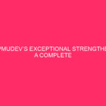 The Exceptional Strengthening of WPMUDEV: A Comprehensive Evaluation of Buyer Assistance in…