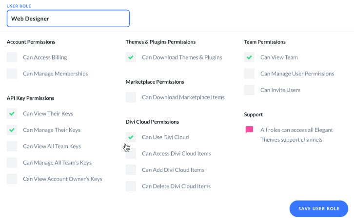 Divi Teams permissions