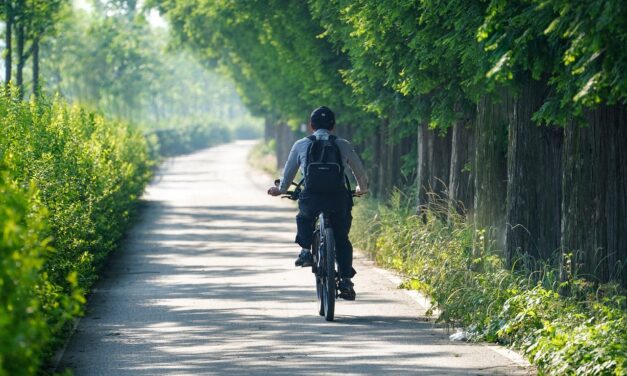 Cycling in Stratford: Revolutionizing Urban Transportation Summary: Stratford, Connecticut, is…