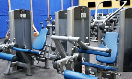 Ellipticals: A Comprehensive Guide for Gulfport Residents Ellipticals, sought-after fitness…