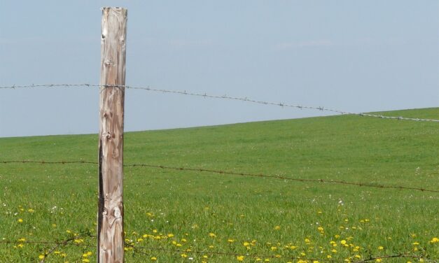 Fences in Tucson: A Comprehensive Overview Summary: Fences in Tucson…