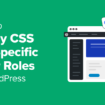 How to Apply CSS for Specific User Roles in WordPress