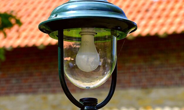 Outdoor Lighting in Phoenix: Illuminating Homes and Landscapes Summary: Outdoor…