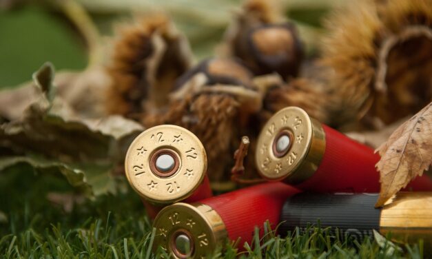 Ammunition Safety Tips in Utah: A Life-Saving Guide Summary: Ammunition…