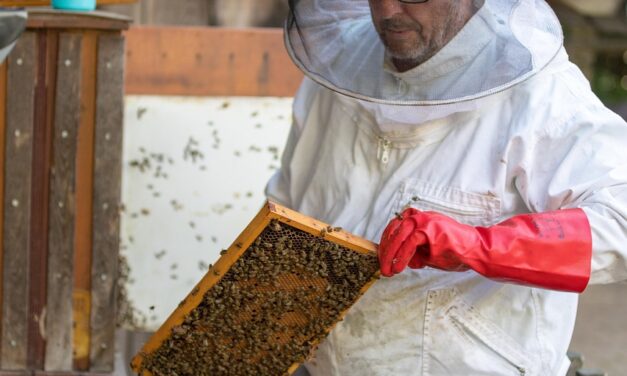 Columbus’ Beekeeping Accessories Market: A Comprehensive Guide Summary: Columbus’ beekeeping…