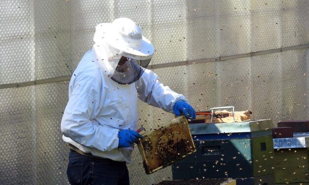 Essential Accessories for Beekeeping Success in Columbus Columbus, Ohio, has…