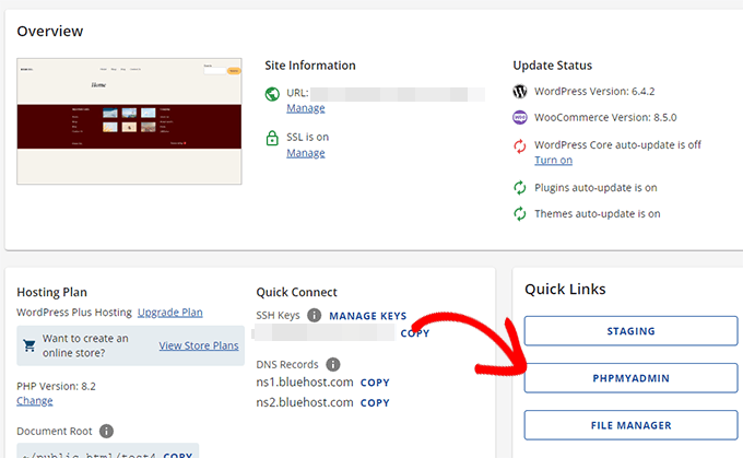 phpMyAdmin link in Bluehost