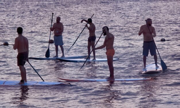 Paddle Boarding in Arizona: A Comprehensive Guide Summary: Paddle boarding…