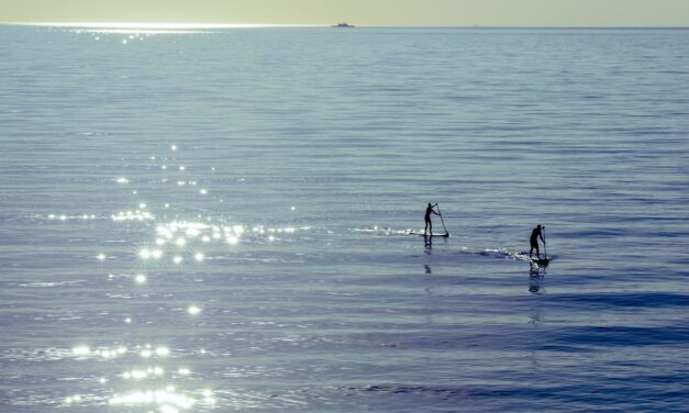 Paddleboarding in Nevada: A Guide to Water Sports in the…