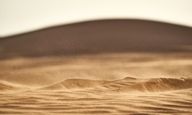 Anchorage’s Mysterious Sandfall: A Geological Enigma Summary: Anchorage, Alaska, has…