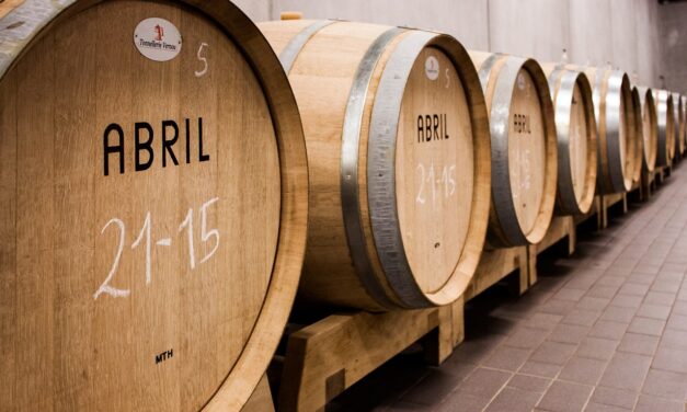 Wine Storage Unveiled: A Comprehensive Guide for Saint John Enthusiasts…