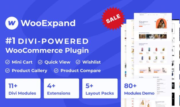 How To Supercharge Your Divi Ecommerce Websites