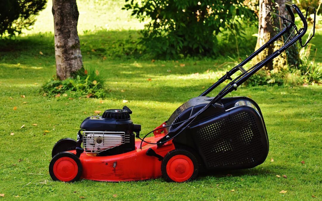 Discover the Buzz and Slice: A Guide to Lawn Mowers…