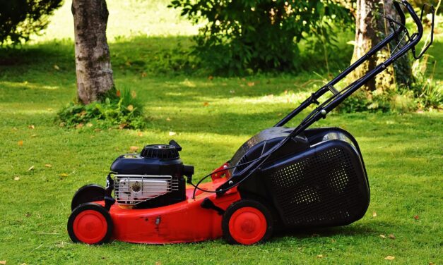 Discover the Buzz and Slice: A Guide to Lawn Mowers…