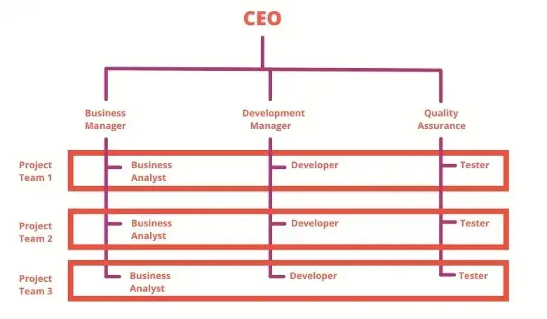 the infographic shows a picture of the matrix organizational structure