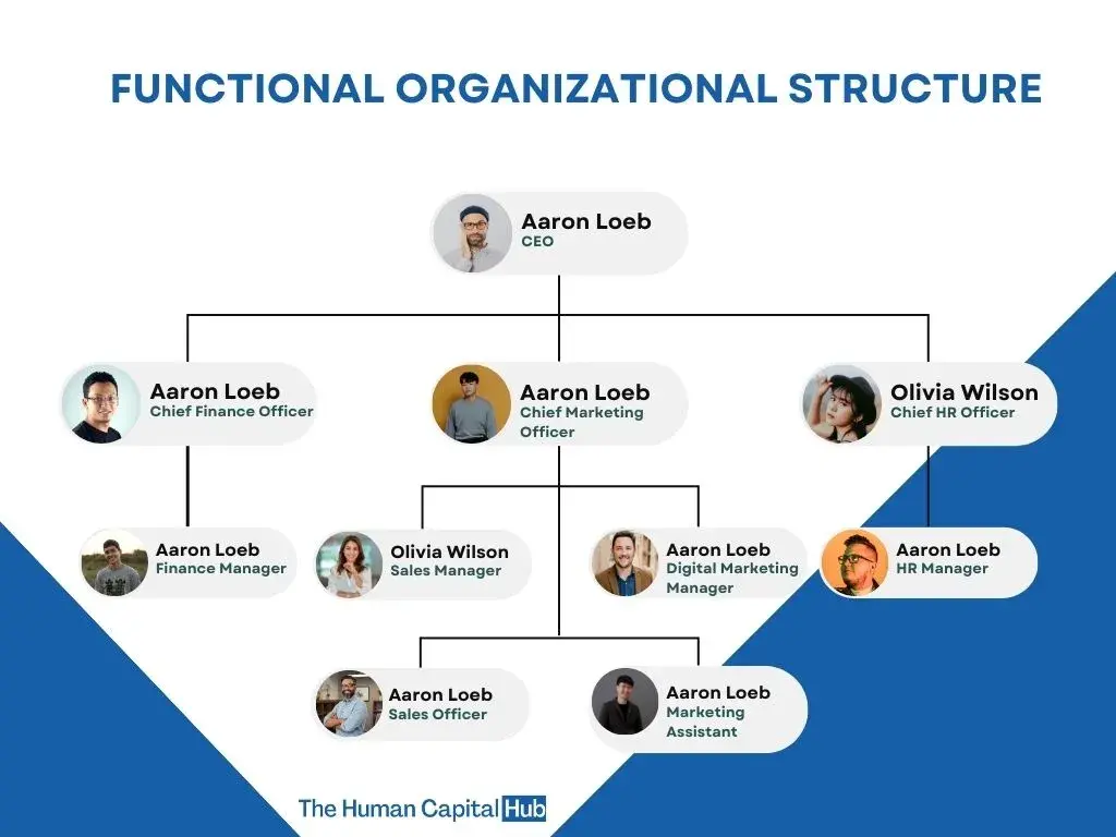 the infographic shows a picture of the functional organizational structure