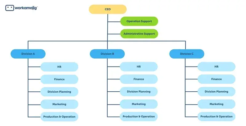 the infographic shows an image of the divisional organizational structure.