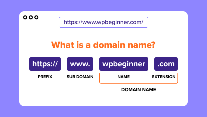 An infographic explaining what a domain name is