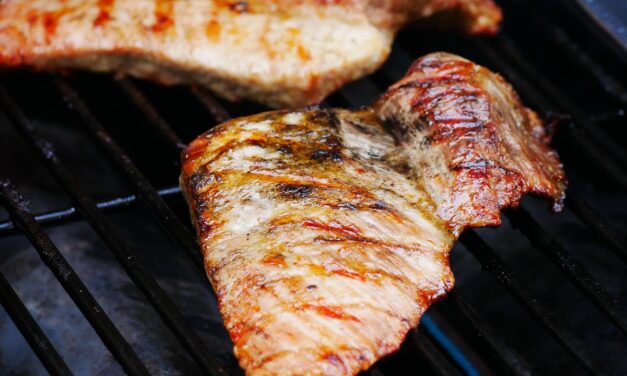 Grills | Fire Up The Fun: Choosing The Perfect Grill…