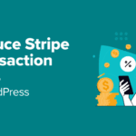 Learn how to Scale back Stripe Transaction Charges in WordPress (3 Skilled Guidelines)