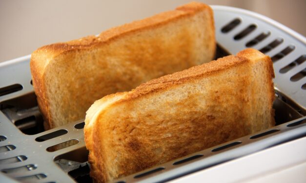 Toasty and Nourished: A Comprehensive Guide to Toasters and Feeders…