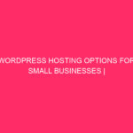 WordPress hosting options for small businesses Turn on your ...