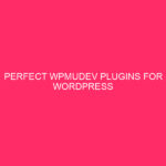 Wpmudev Plugin Perfect for WordPress optimization - Guam information to ...